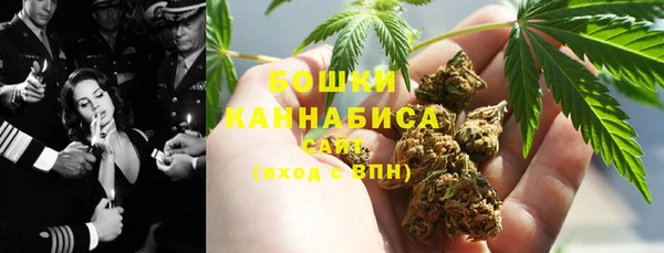 амф Сосновка