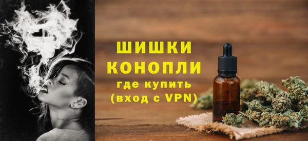 хмурый Белокуриха