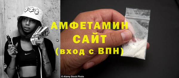 хмурый Белокуриха