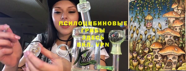 дмт Балахна