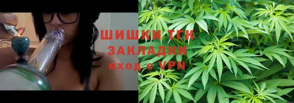 хмурый Белокуриха