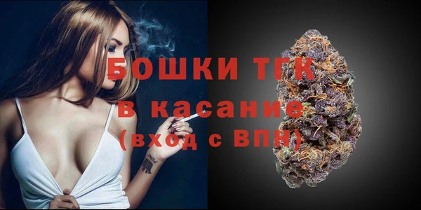 хмурый Белокуриха