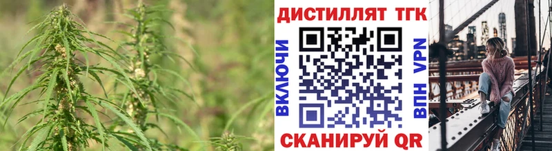что такое   Верхняя Пышма  ТГК гашишное масло 