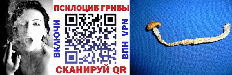 Псилоцибиновые грибы MAGIC MUSHROOMS  ОМГ ОМГ маркетплейс  Верхняя Пышма 