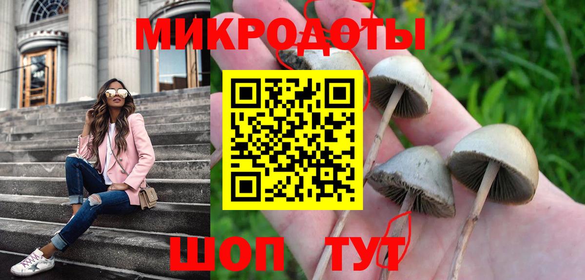 Псилоцибиновые грибы мицелий  Вход с VPN  Верхняя Пышма 