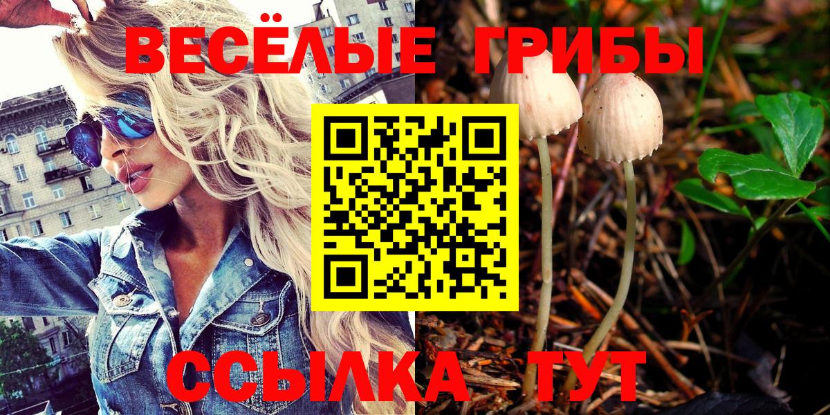 Галлюциногенные грибы MAGIC MUSHROOMS Верхняя Пышма